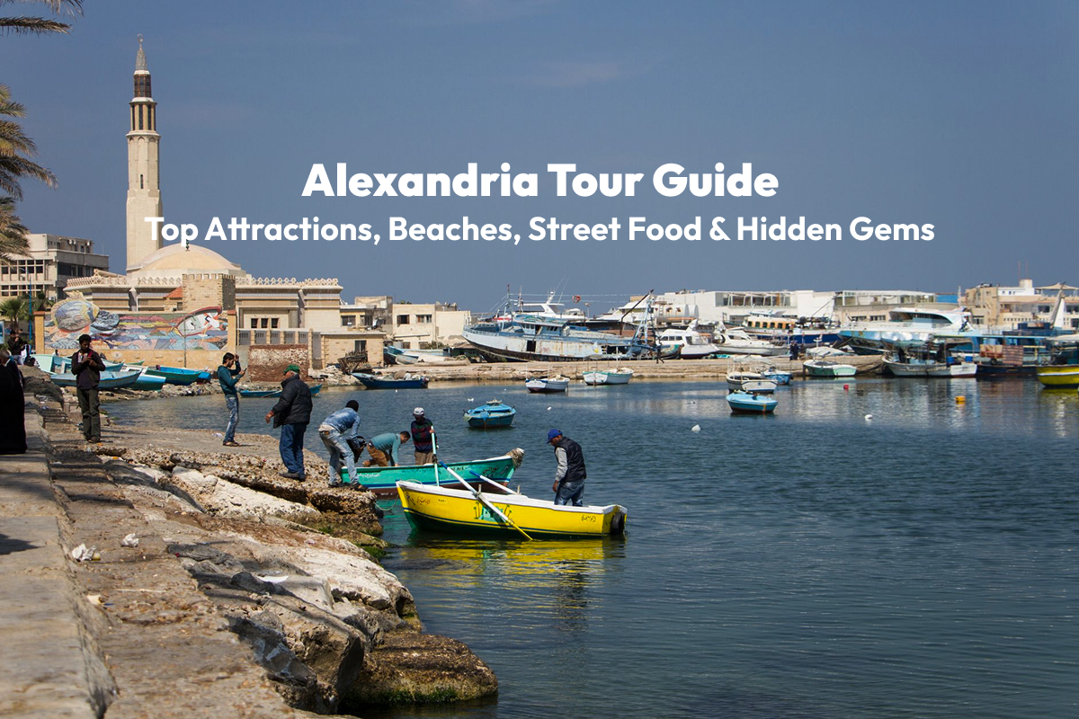 Alexandria Tour Guide: Top Attractions, Beaches, Street Food & Hidden Gems